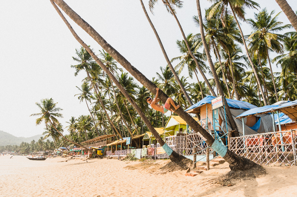 Climbing Tree on Palolem Beach Goa India