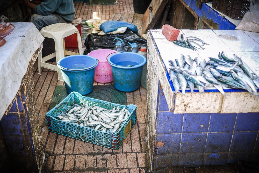 Fish Market in Essaouira, Morocco 