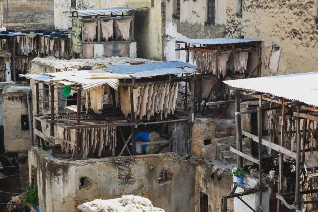 Leather Drying In Tannery Fes Old Souk