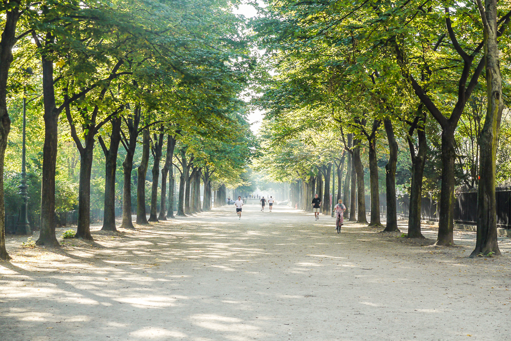 Running Trails At Champ Du Mars In Paris