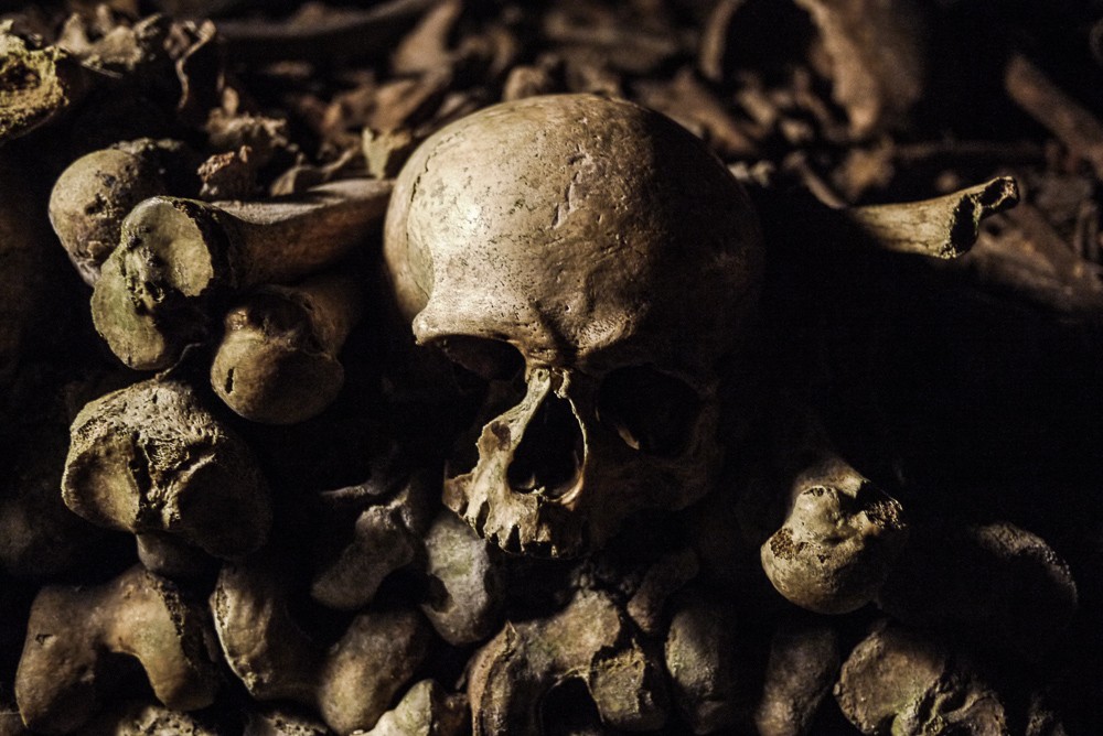 Skull in Paris Catacombes