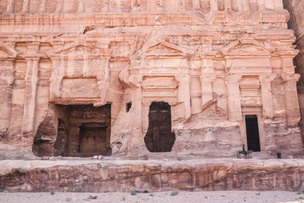 Rock cut reliefs on the side of the mountains in Petra