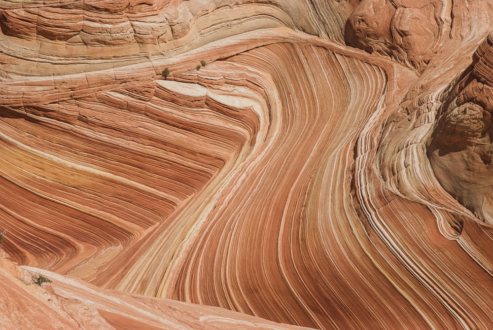 Wavy Sandstone Pattern At The Wave Arizona