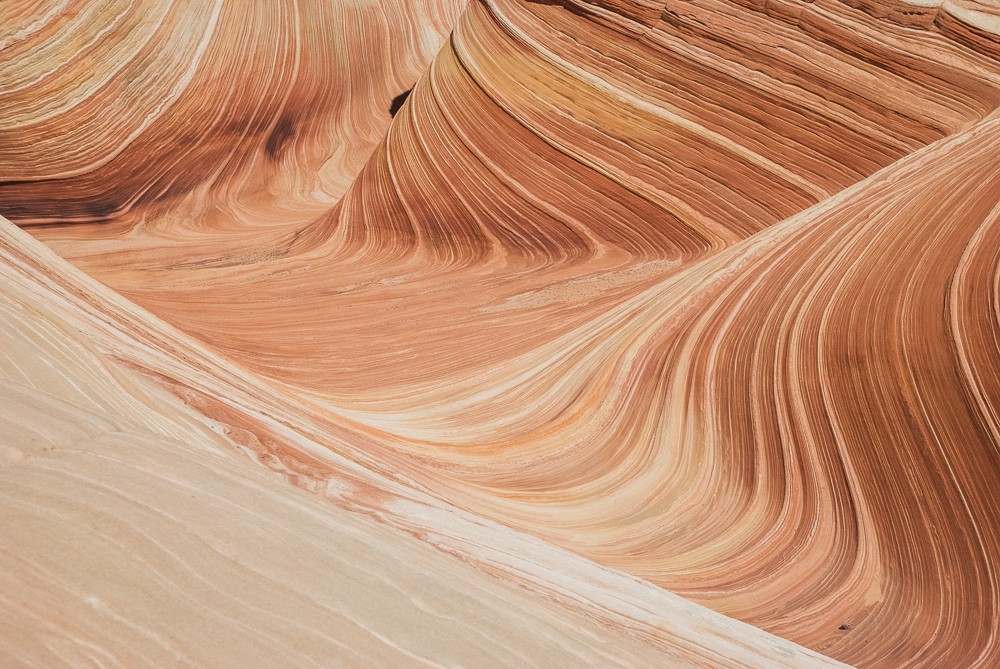 Wavy Sandstone Pattern At The Wave Arizona