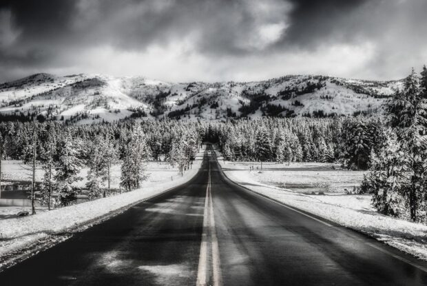 Snow in June at Yellowstone National Park