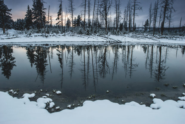 Yellowstone Snow In June
