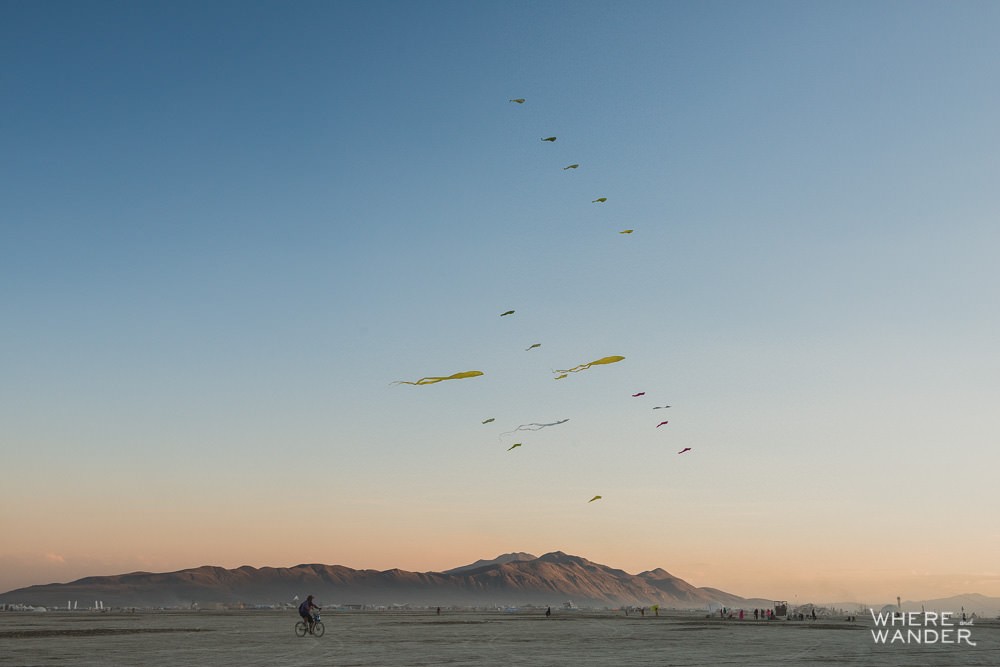 Burning Man Playa Kites
