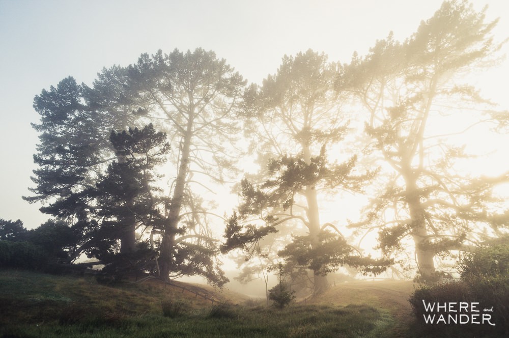 Hobbiton At Sunrise: Lord of the Rings Movie Set