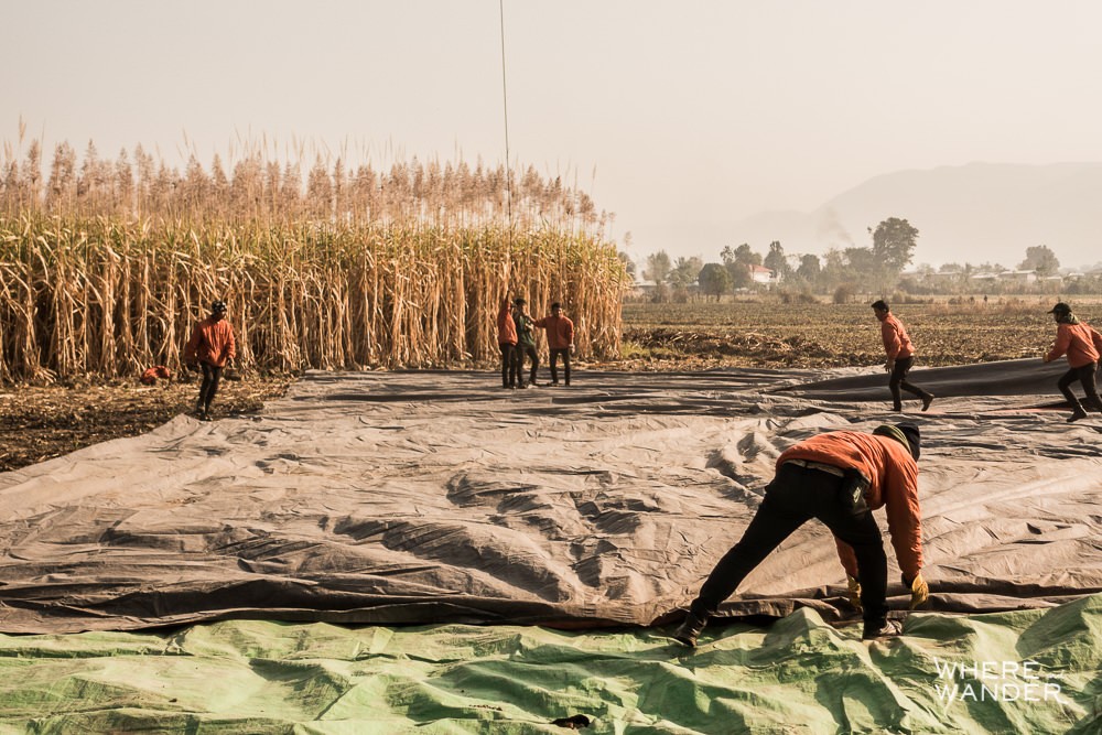 Deflating Hot Air Balloon After Landing In Farmer's Field