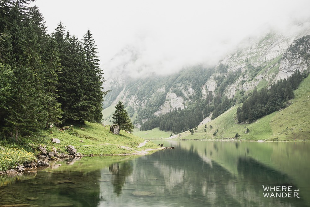 Stunning View of Seealpsee