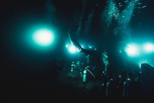 Manta Night Divers
