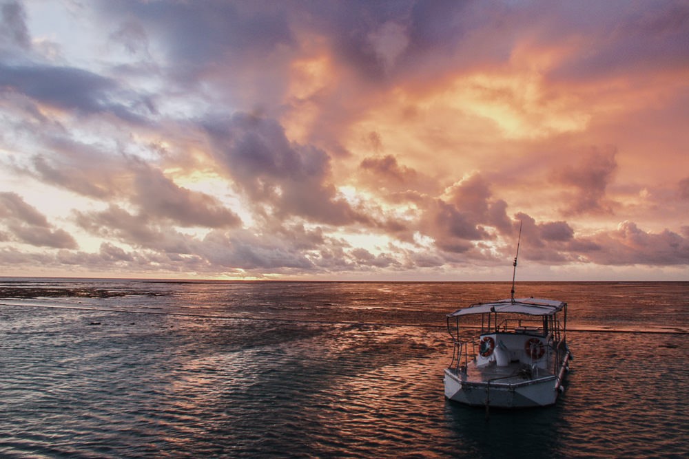 Heron Island Boat At Sunset