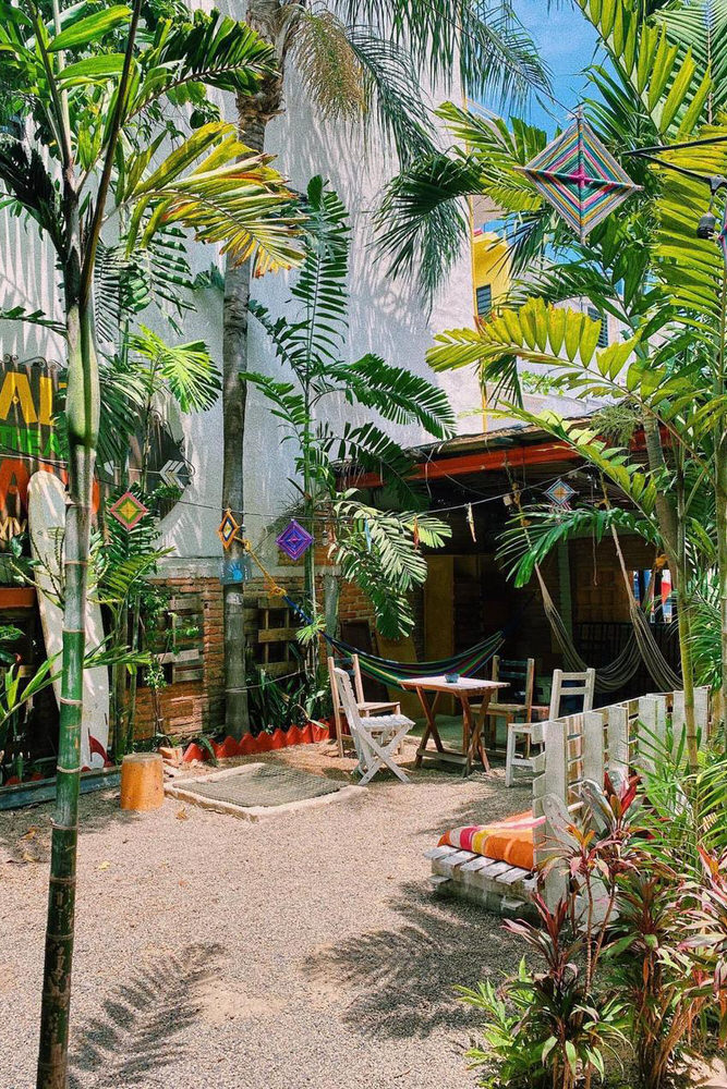 Garden common space of La Redonda Hostel in Sayulita