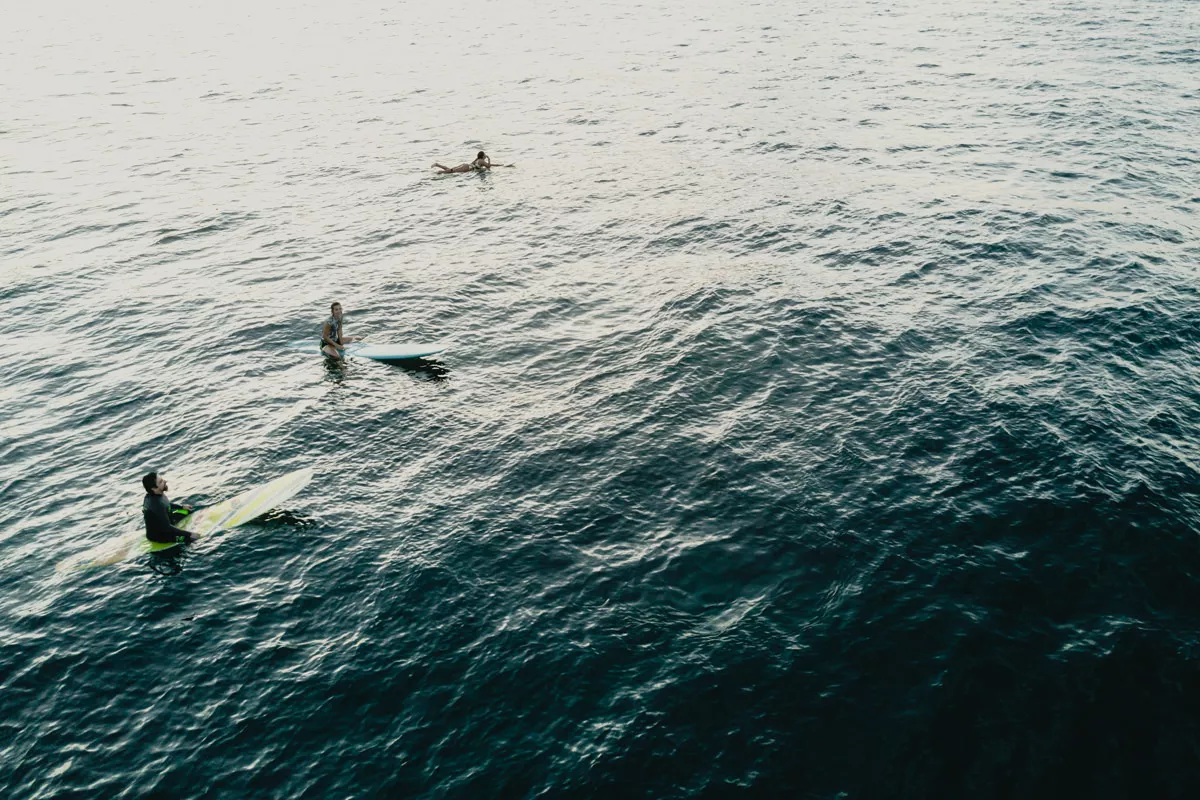 Longboard surfers at sunset in Sayulita