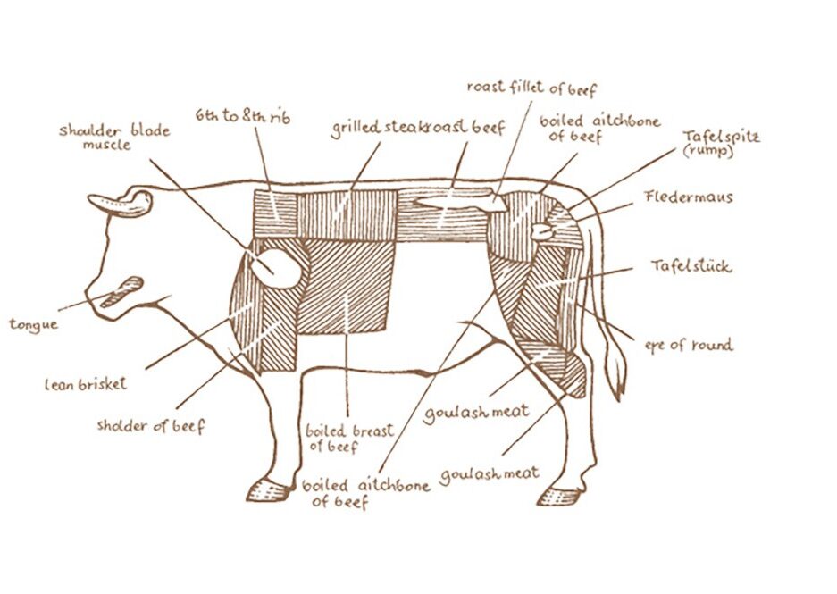 Plachutta Meat Cuts Diagram 2020