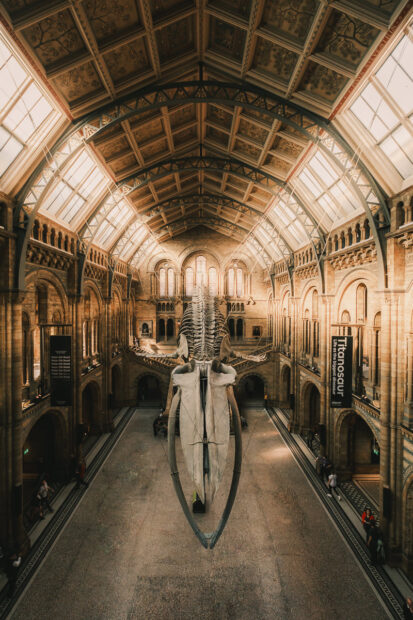 National History Museum empty shot on Fujifilm 10-24mm