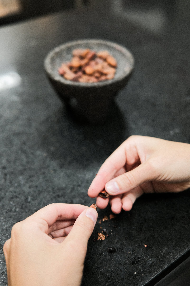 Hands opening the inside of a fresh cacao bean