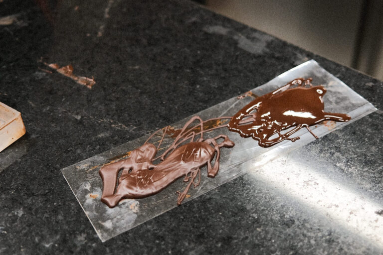 CacaoMagicoChocolateMakingExperiencePuertoVallarta_008 Where