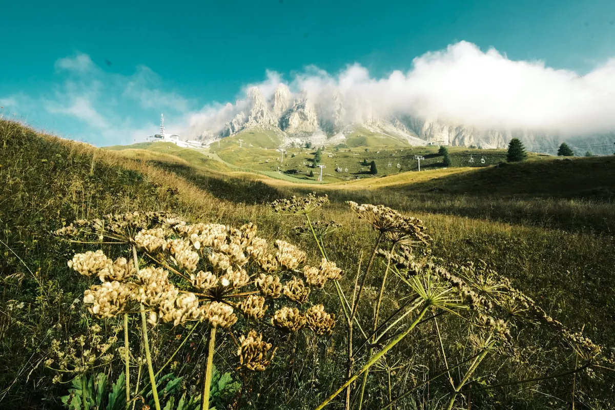 Gran Cir and Piccola Cir in the clouds from meadow