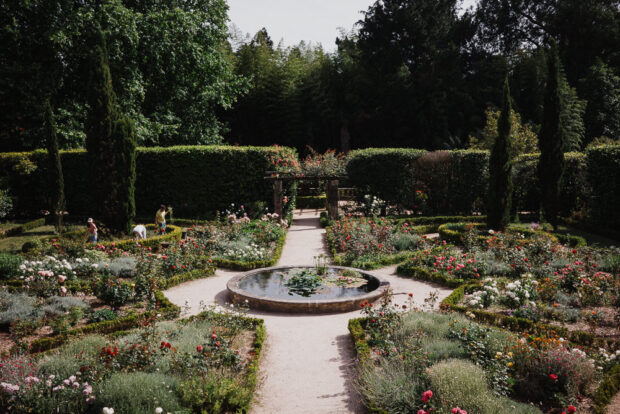 Jardim Botanico Porto