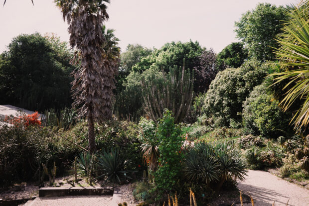 Porto Botanical Gardens