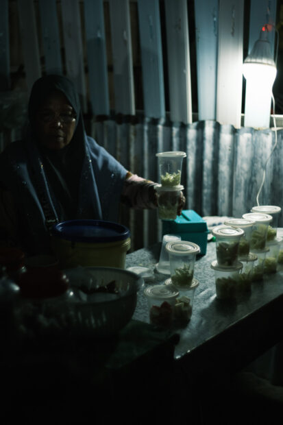 Woman selling food at night on Mabul Island