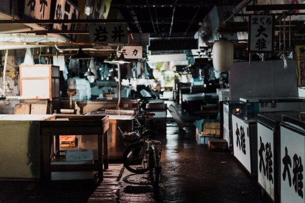 Empty corridors at Inner Tsukiji Fish Market