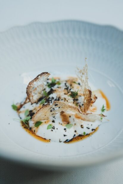 Copernicus lunch starter