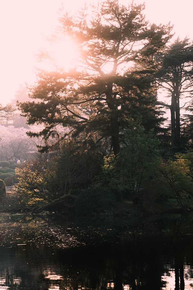 Gyeon National Garden shot with Fujifilm X-H2 and 55-200mm