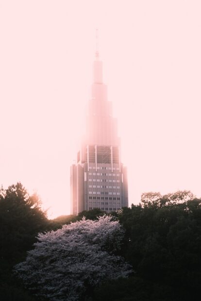 NTT Docomo Yoyogi Building seen from Gyeon National Garden Cherry Blossoms