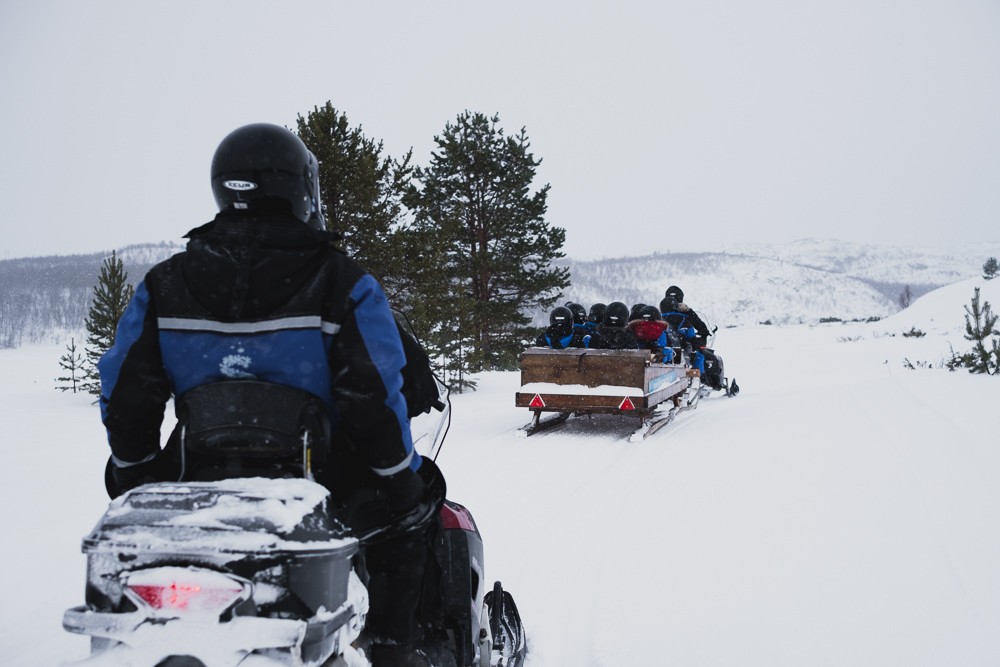 Snowmobile sledding on king crab safari in Norway
