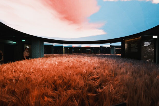 Barley field and sky exhibition at Guinness Storehouse in Dublin