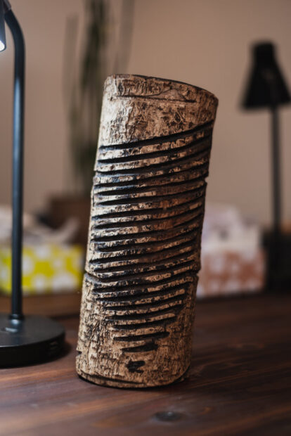 urushi lacquer tree with harvest cuts