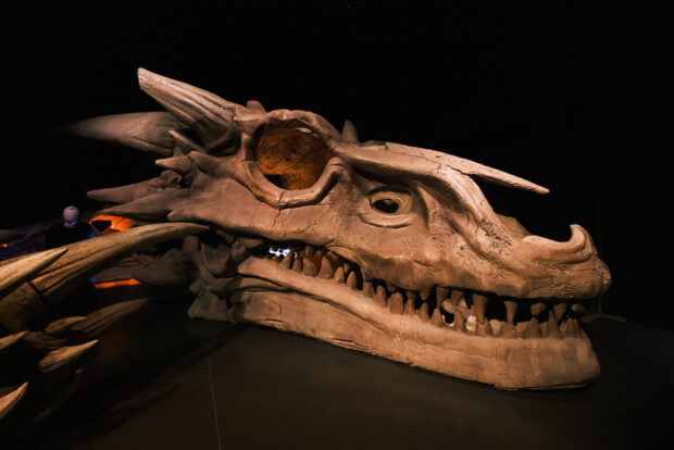 Game of Thrones Studio Tour: Balerion Skull