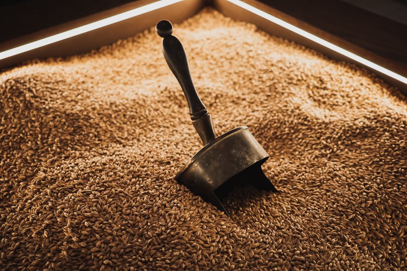 Malted Barley