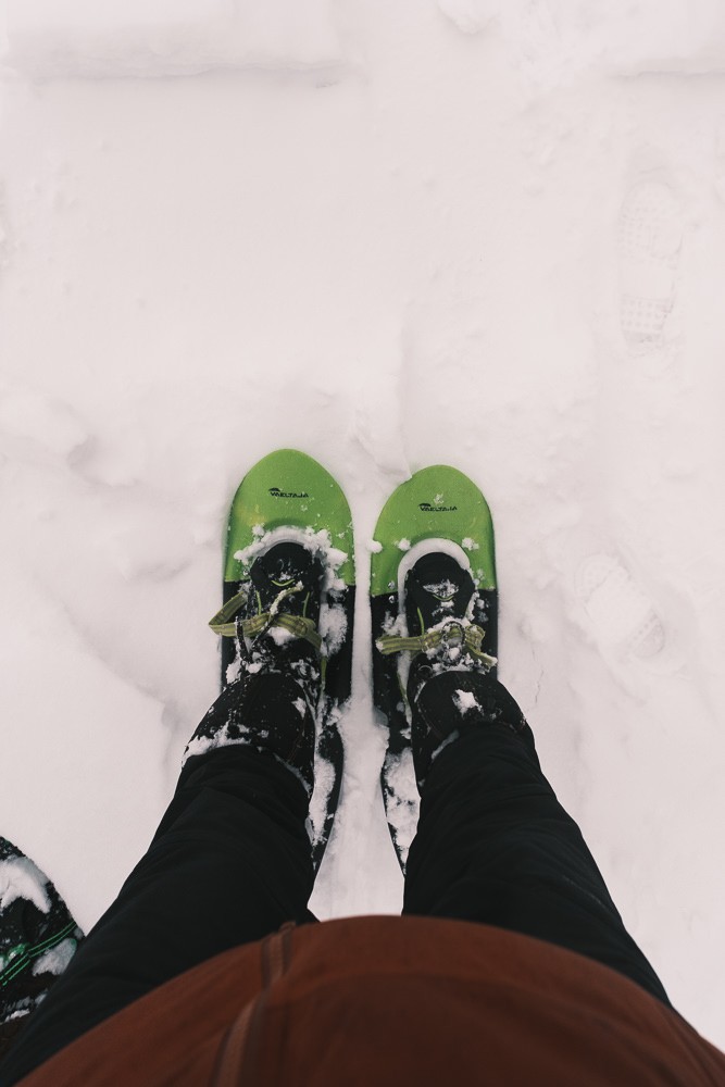 Snowshoes for trekking in Rovaniemi