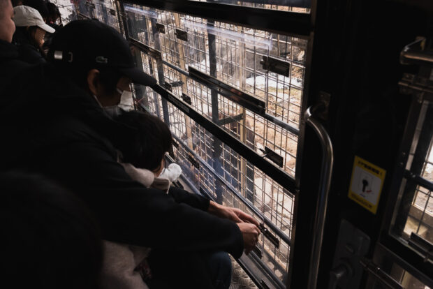 Parent and child inside caged truck at Kyushu African Safari Park