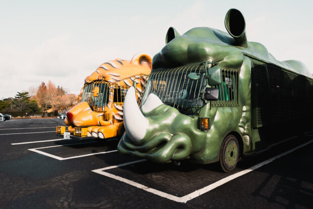 Animal shaped caged trucks for safari tour at Kyushu African Safari Park