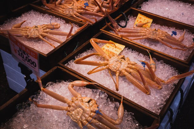 Snow crabs for sale in Kinosaki Onsen
