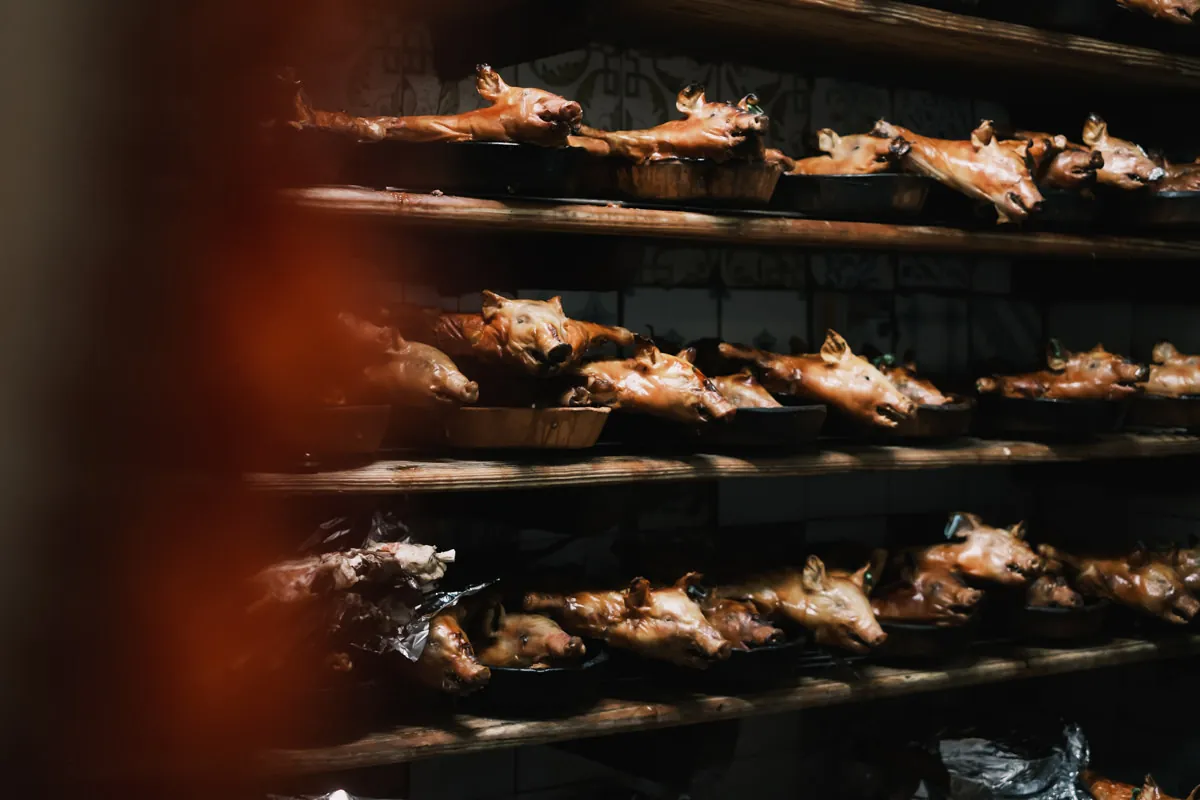 Rows of roasted suckling pig at Botin